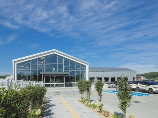 ���� ����6