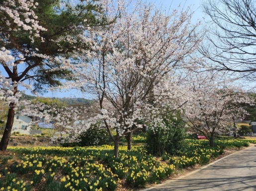 ���� ����2