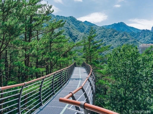 ���� ����7