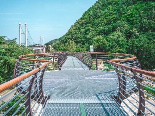 ���� ����6