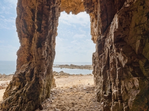 ���� ����4