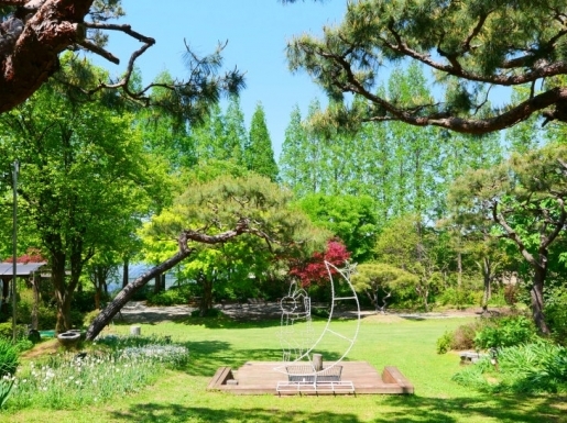 ���� ����3