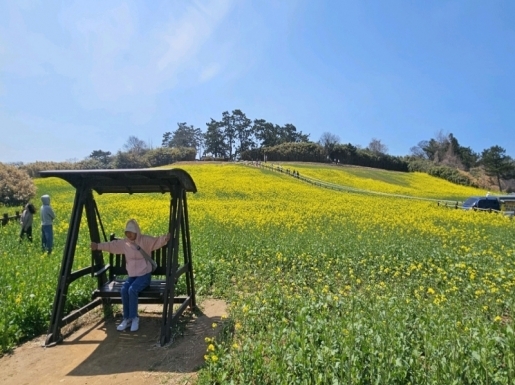 ���� ����1